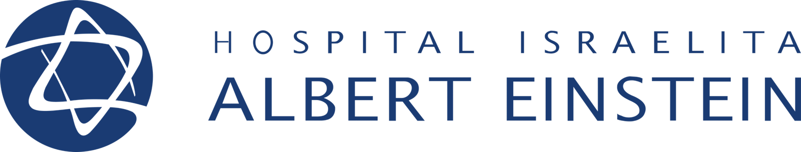 hospital-albert-einstein 1
